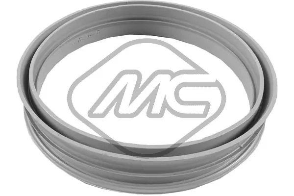 Seal, fuel filler neck