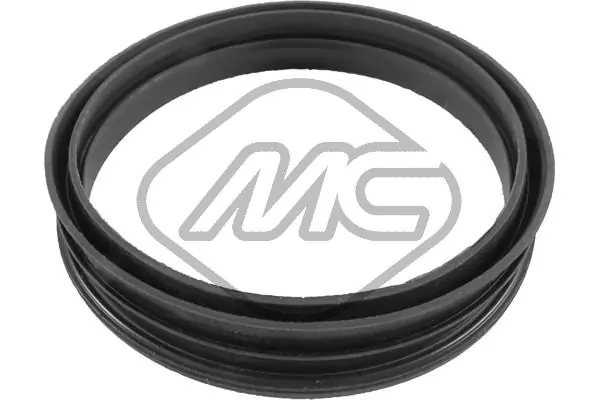 Seal, fuel filler neck