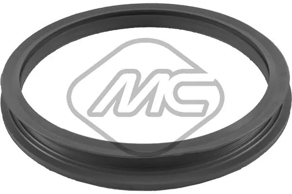 Seal, fuel filler neck