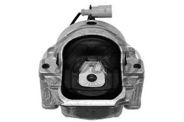 Mounting, engine