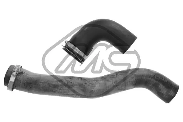 Radiator Hose