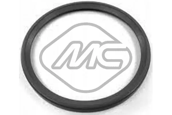 Seal Ring, charge air hose