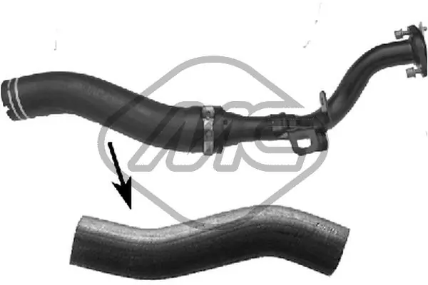 Radiator Hose