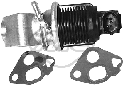 EGR Valve