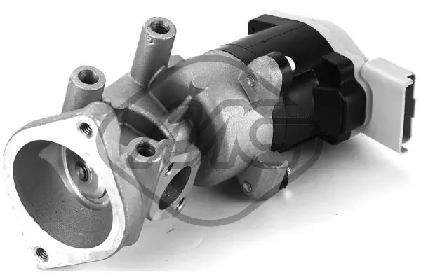 EGR Valve, exhaust control