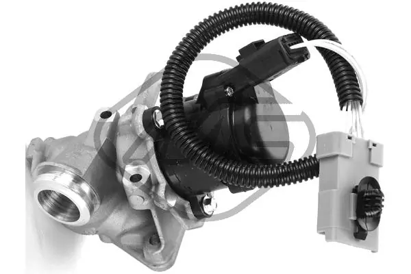 EGR Valve