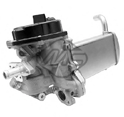 EGR Module