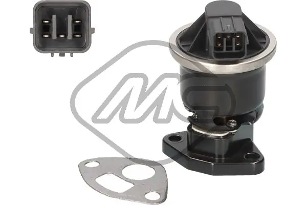 EGR Valve