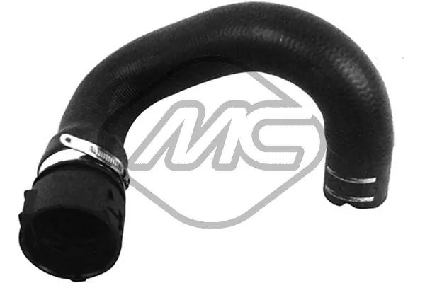 Radiator Hose