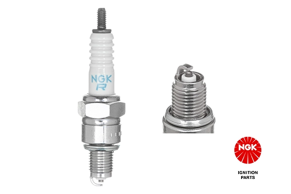 Spark Plug