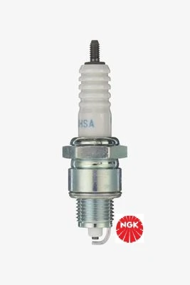 Spark Plug