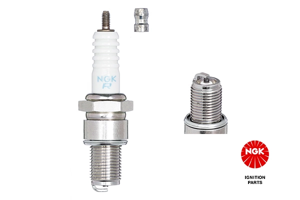 Spark Plug