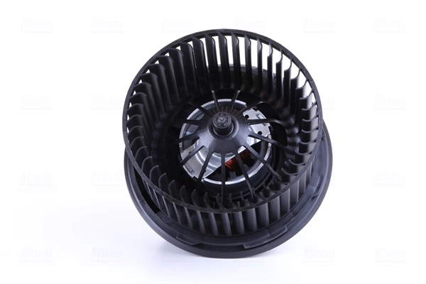 Interior Blower