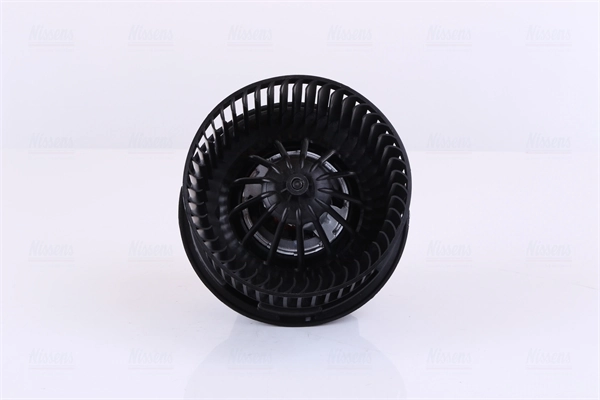 Interior Blower