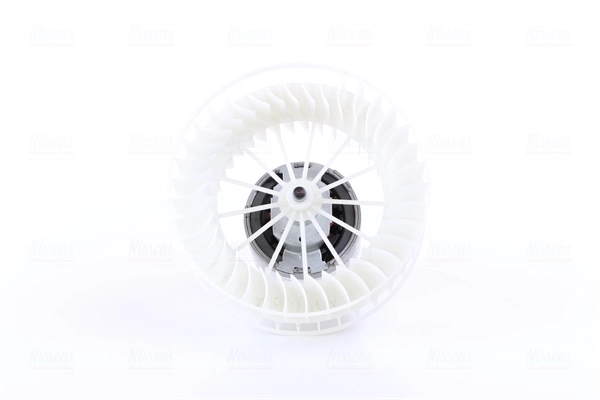Interior Blower