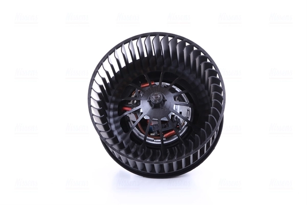 Interior Blower