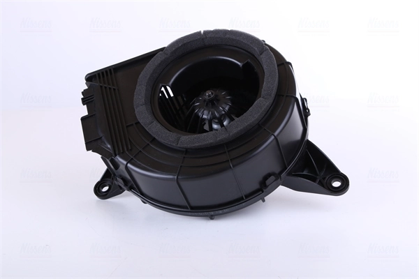 Interior Blower