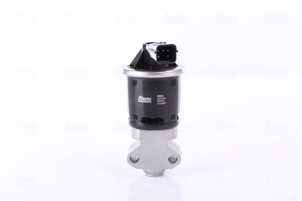 EGR Valve