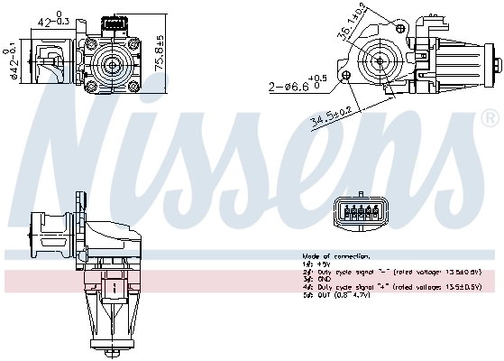 EGR Valve