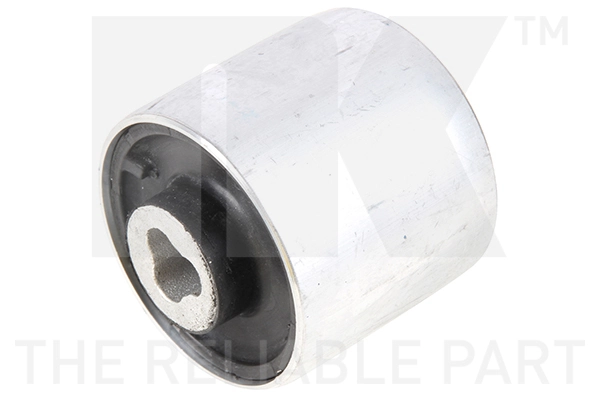 Mounting, control/trailing arm