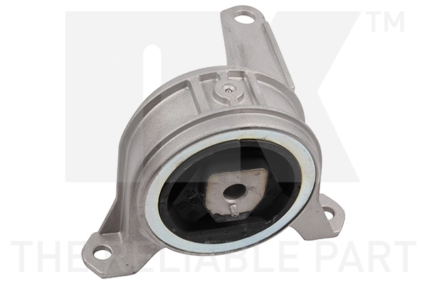 Mounting, engine