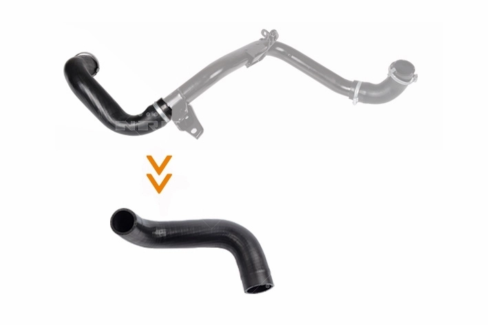Charge Air Hose