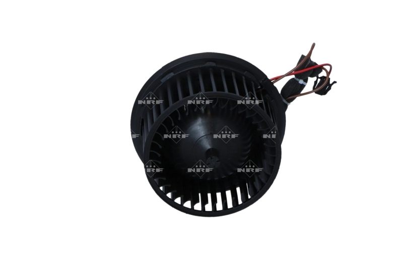 Interior Blower