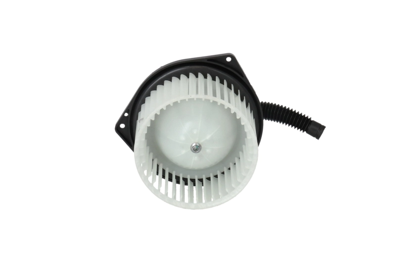 Interior Blower