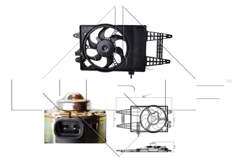 Fan, engine cooling