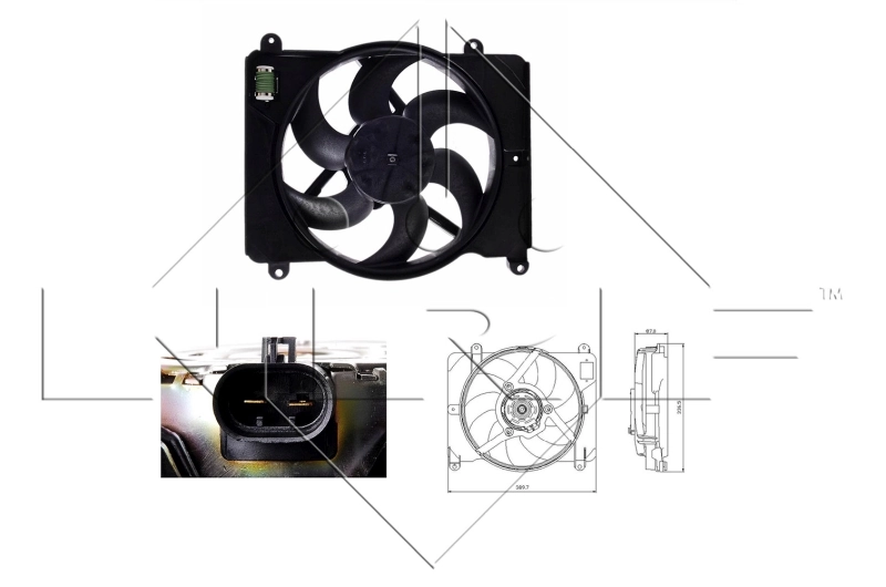 Fan, engine cooling