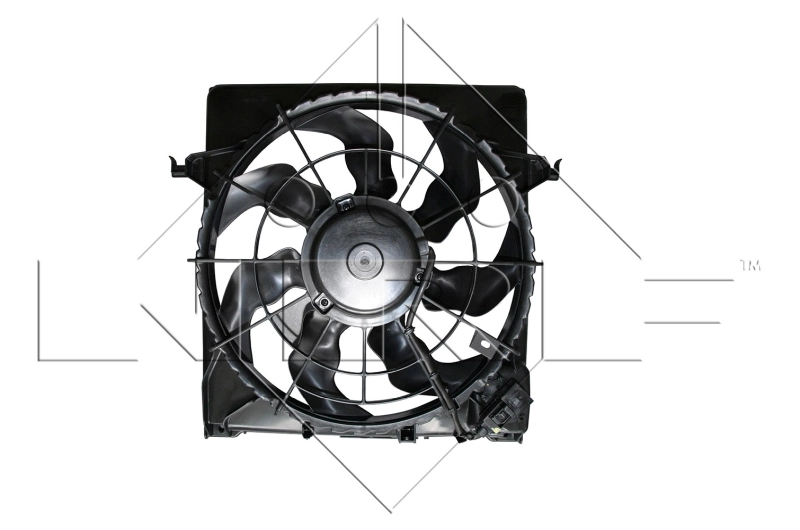 Fan, engine cooling