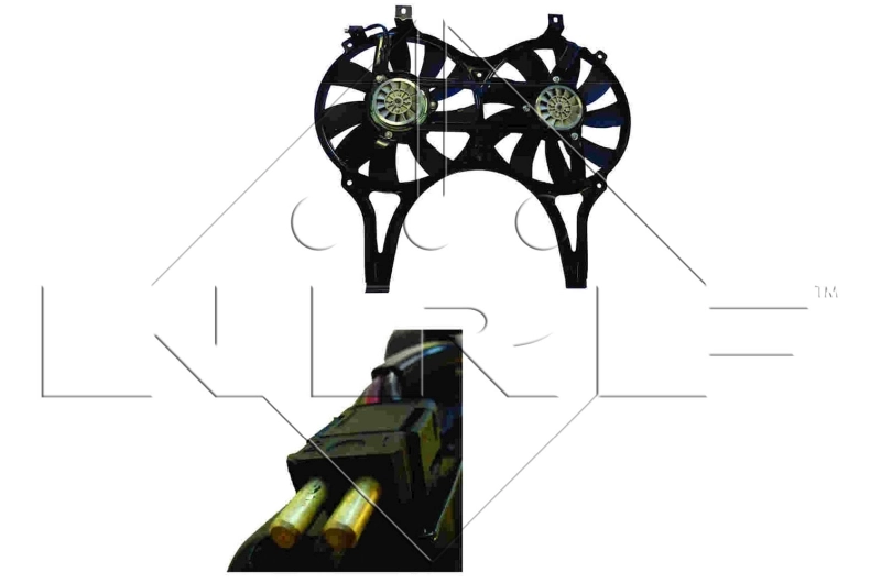 Fan, engine cooling
