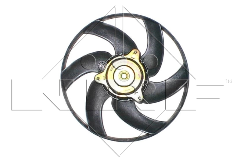 Fan, engine cooling