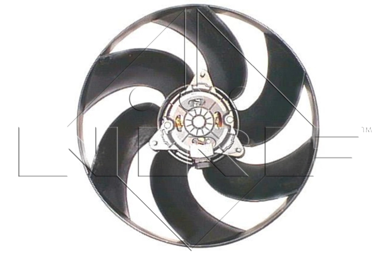 Fan, engine cooling