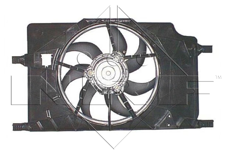 Fan, engine cooling