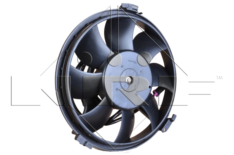Fan, engine cooling