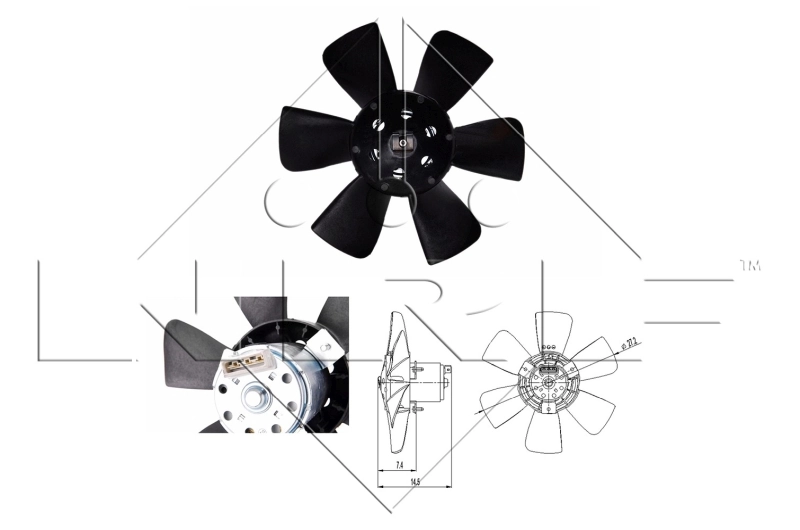 Fan, engine cooling