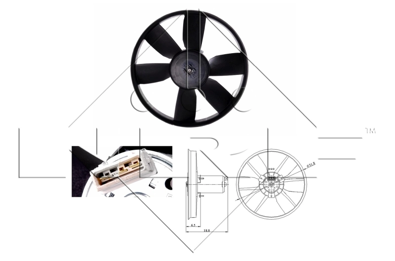 Fan, engine cooling