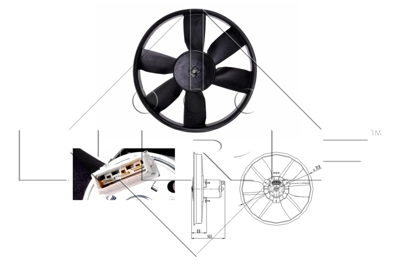Fan, engine cooling