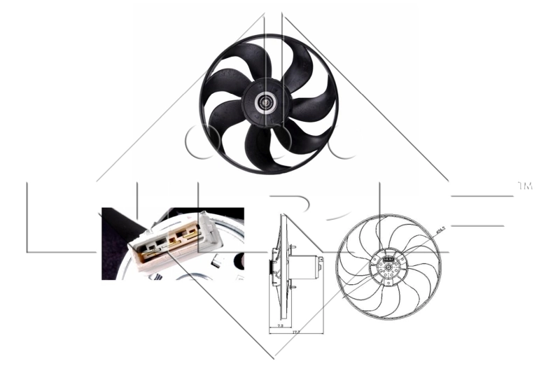 Fan, engine cooling