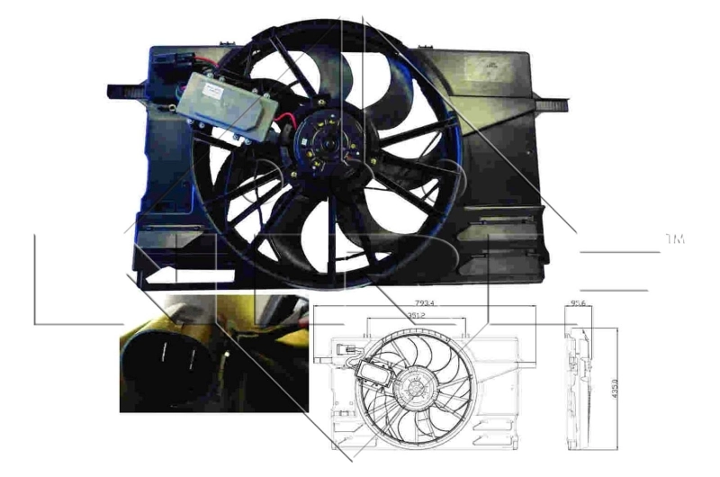 Fan, engine cooling