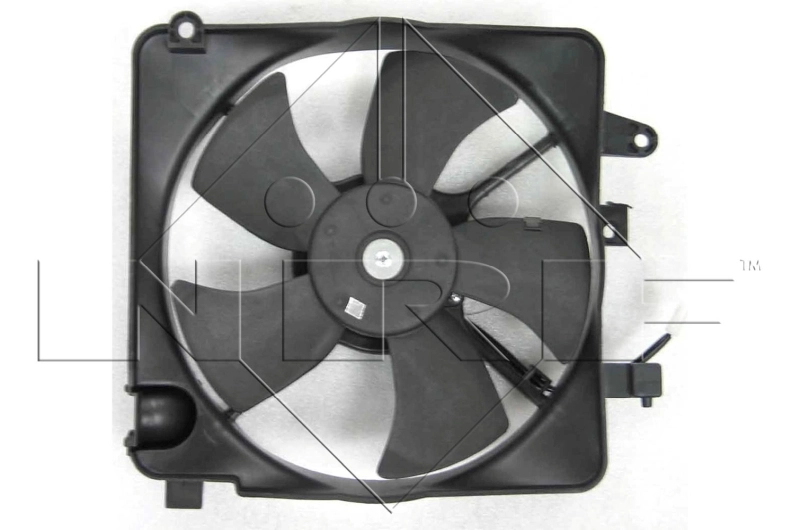 Fan, engine cooling