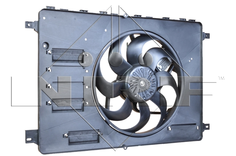Fan, engine cooling