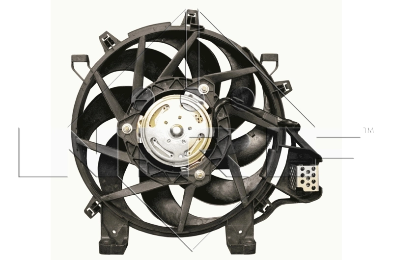 Fan, engine cooling
