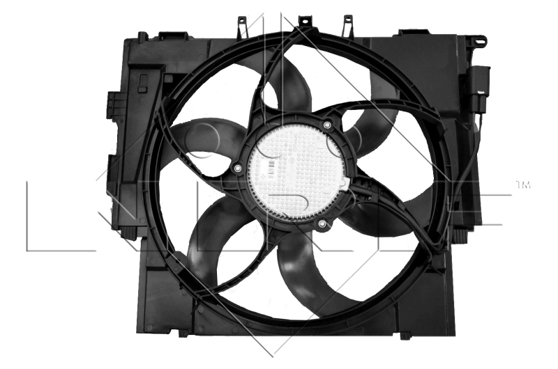 Fan, engine cooling