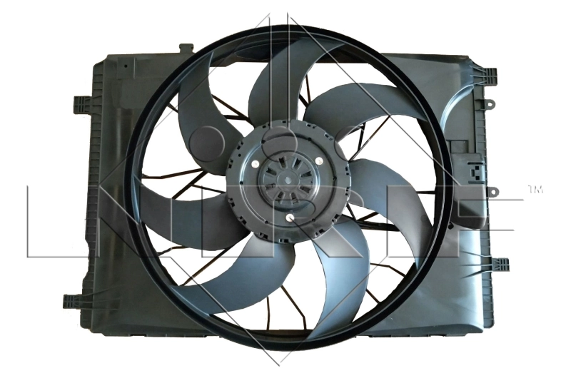 Fan, engine cooling
