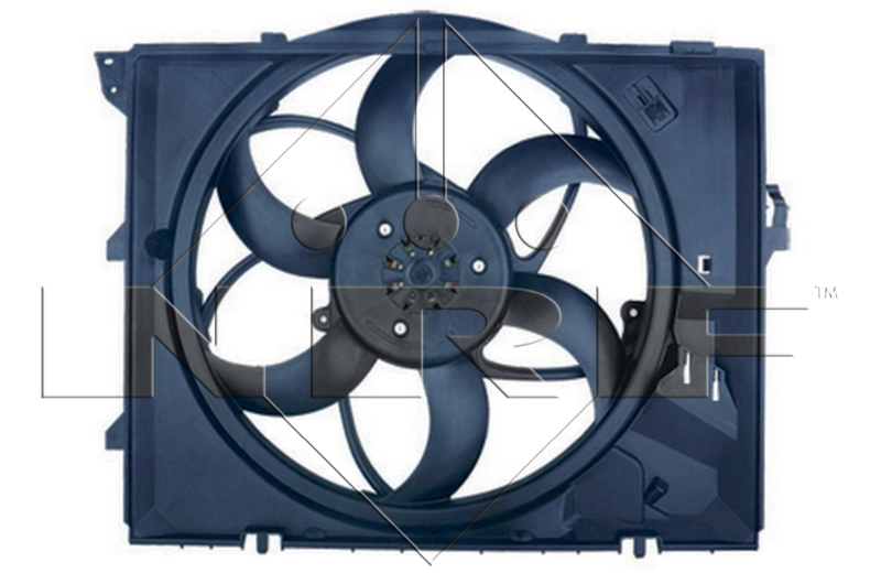 Fan, engine cooling
