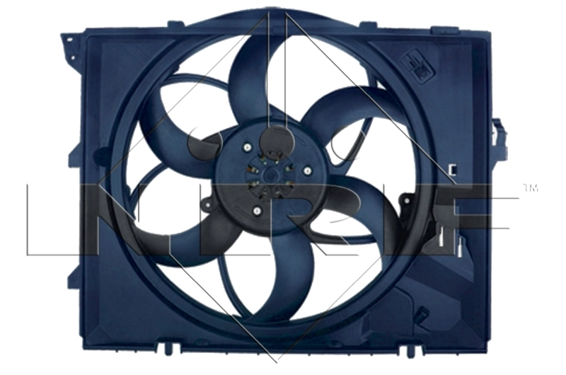 Fan, engine cooling