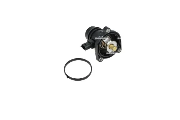 Thermostat, coolant