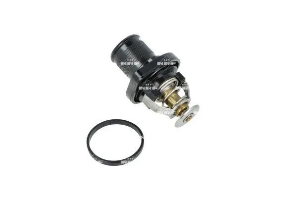 Thermostat, coolant